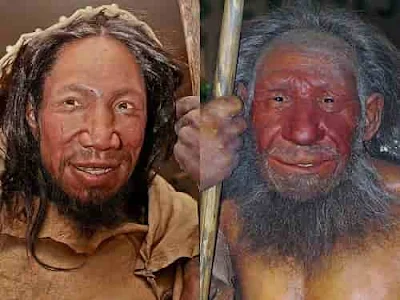 Comparação entre o rosto de um humano (esquerda) e um neandertal.