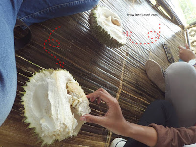 Durian di Sukadanaham 