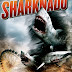 CHOMPING ON THE PHENOM OF SHARKNADO WITH ROBBIE RIST 