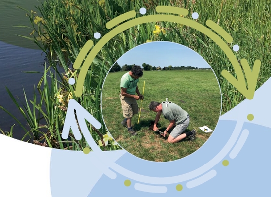 Foto uitsnede cover Verbeteren waterkwaliteit door landbouwmaatregelen ter reductie van nutriëntenbelasting in veenweidegebieden