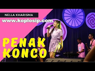 Penak Konco - Nella Kharisma - Radio Hits