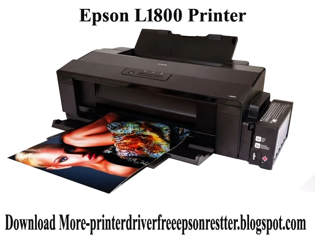 Epson l1800 roll to roll printing software Full Version free download 2020! how to reset epson l800 ink level