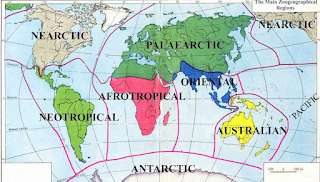 Wilayah atau Zona Penyebaran Hewan (Biotik) Di Dunia