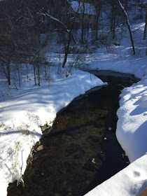 open water in Winter is a treat to watch