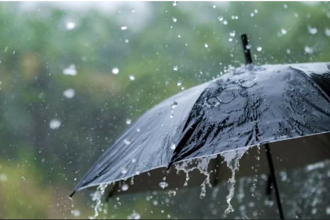 കേരളത്തില്‍ ഇന്ന് മഴ മുന്നറിപ്പ്; അഞ്ച് ജില്ലകളില്‍ യെല്ലോ അലേര്‍ട്ട്