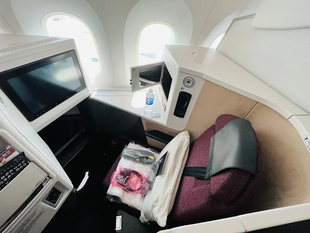 Review: Japan Airlines JAL37 Business Class Sky Suite III Boeing 787-9 Tokyo HND to Singapore SIN