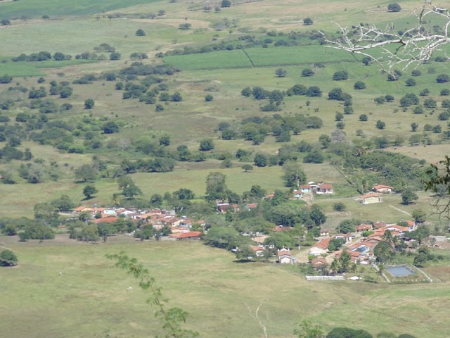 O SURGIMENTO DE PALMEIRA, SEUS POVOS E SEU POTENCIAL TURÍSTICO QUE AINDA ESTÁ ESQUECIDO