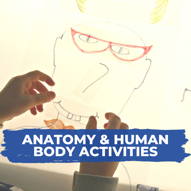 Anatomy and human body activities for kids