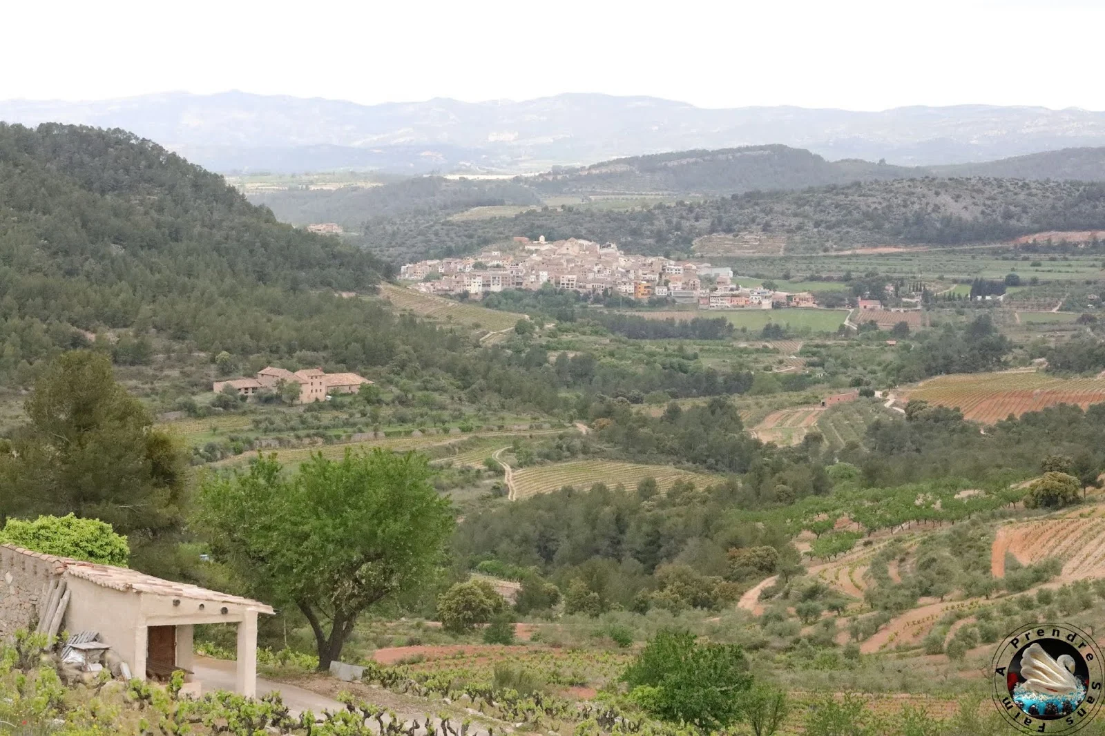 Visite et dégustation de vins à Vinyes Domènech - Capçanes