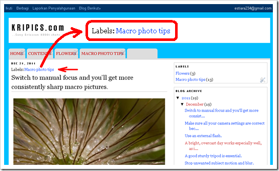 label di atas judul posting 2