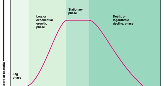 Pertumbuhan Mikroba, Kinetika, Perhitungan, Populasi 
