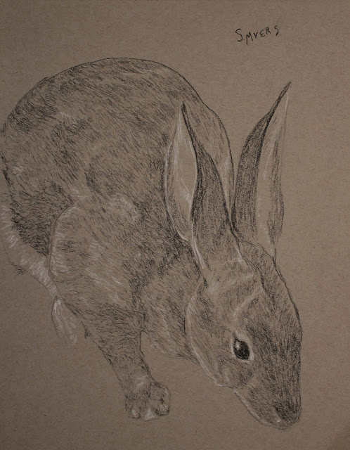 rabbit, bunny, art, arte, drawing, sarah, myers, artist, dessin, dibujo, charcoal, conte, grayscale, animal, creature, artwork, detail, pencil, lines, classic, classical, figurative