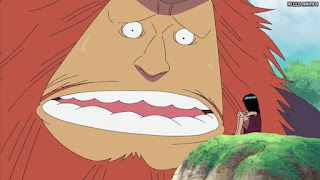 ワンピース アニメ 276話 ロビン過去 20年前 オハラ ハグワール・D・サウロ Jaguar D. Saul | ONE PIECE Episode 276 Ohara