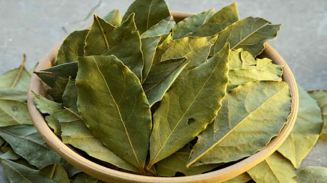 Wonderful bay leaves benefits for maintain a healthy skin.