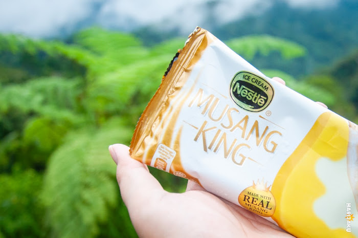 Aiskrim Musang King Nestle