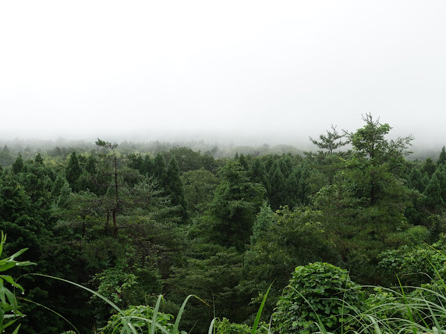 鳥取県道299号赤松淀江線　鳥取県西伯郡大山町今在家