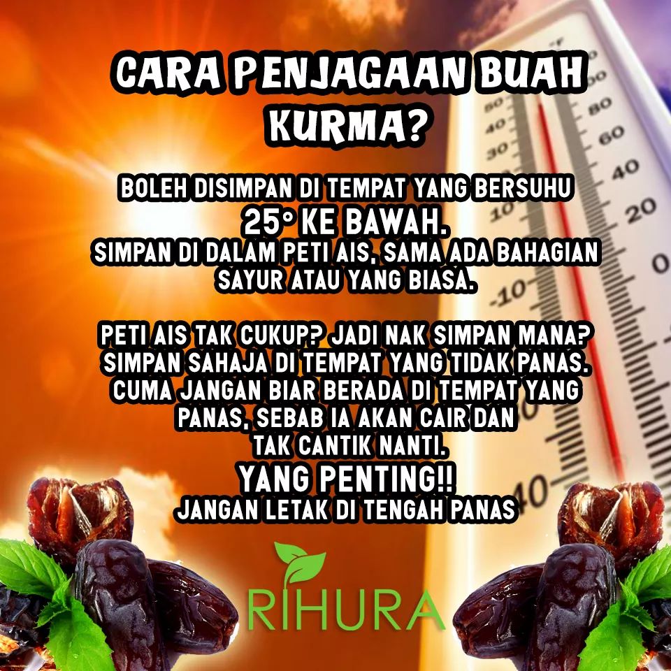 kelebihan kurma ajwa madinah. cara buat kurma ajwa sebagai milkbooster. harga kurma ajwa madinah di malaysia. cara jaga kurma agar tahan lama.