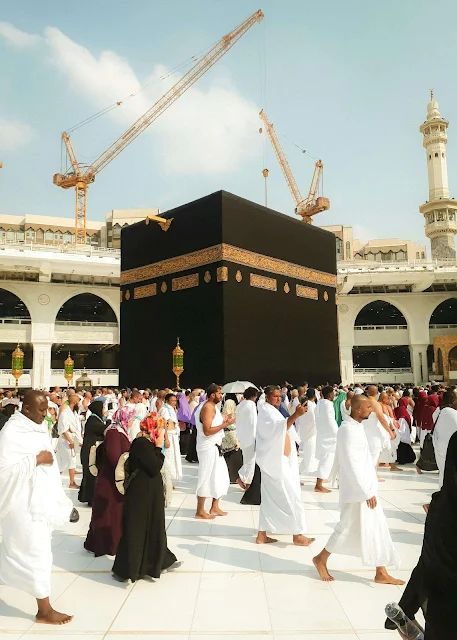العمرة 2024، إحصاءات العمرة، معتمرون سعوديون،