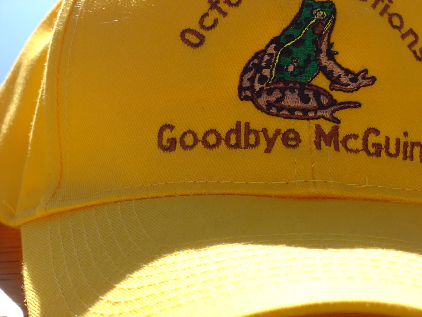 GOODBYE McGUINTY