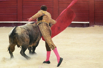 bullfight