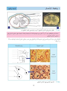 كتاب علوم الحياة و الأرض 9 أساسي