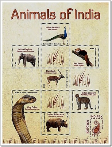 animals of india