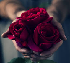 Love Rose 14