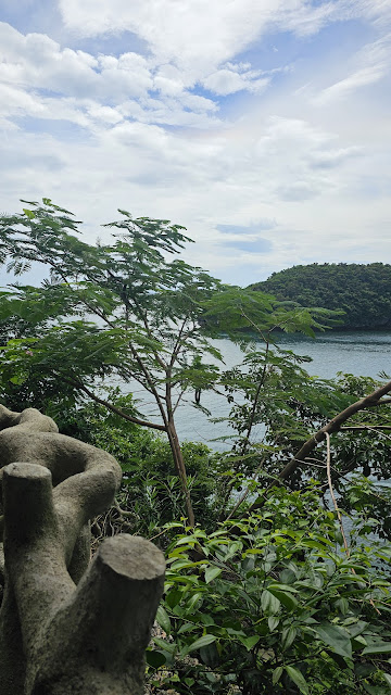 Beautiful  sky, ocean, and trees