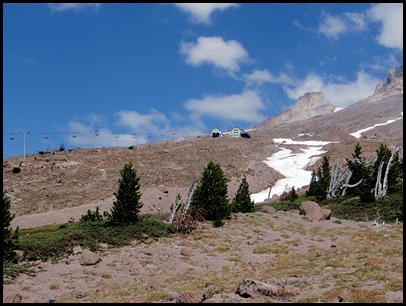 P8310038