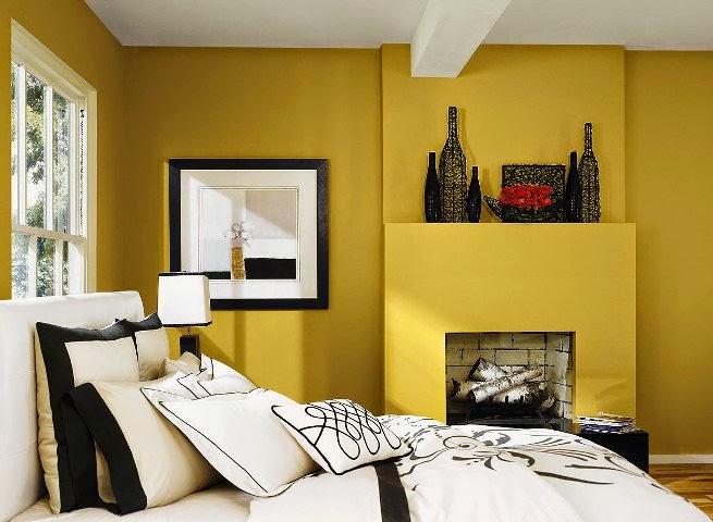 Interior Exterior Wall Painting  Color  Combination