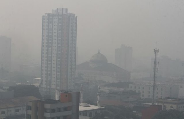 "Análise de Deslocamento dos Poluentes de Emissões na Cidade de Manaus"; Publicamos artigo em homenagem ao Dia Mundial do Meio Ambiente