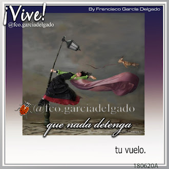 Vuelo