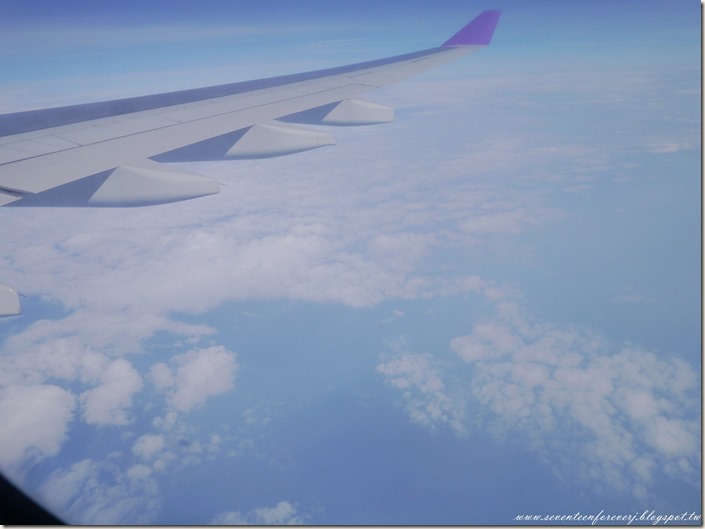 PhotoCap_005