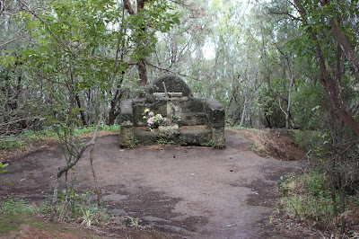 PR-TF-10 LA PUNTA DEL HIDALGO A LA CRUZ DEL CARMEN, sendero entra Chinamada y la Cruz del Carmen