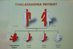 Soalan 6 Berapa Peratus Pembawa Thalassaemia Di Malaysia