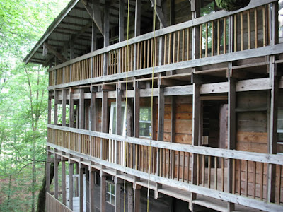 The World's Biggest Treehouse (14) 10