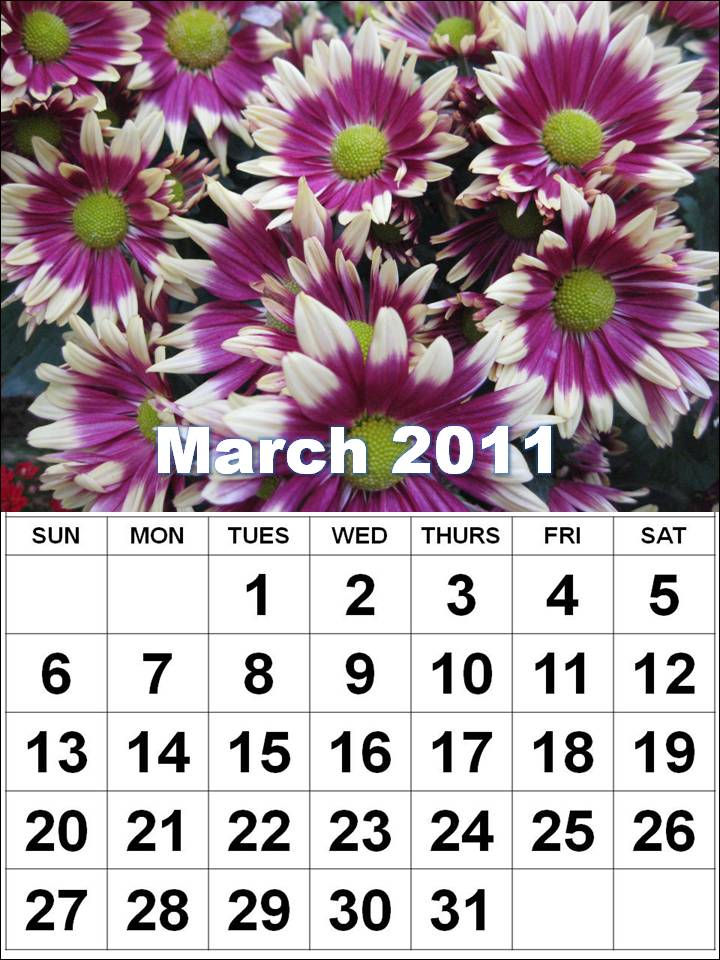 annual calendar 2011. annual calendar 2011