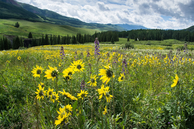 East River Valley