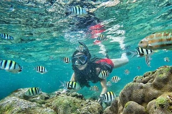 snorkeling-di-pantai-kukup