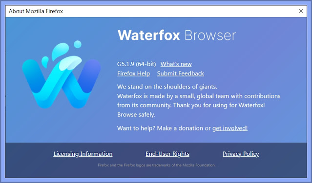 Waterfox Browser Version I Opted For
