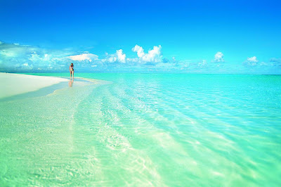 These are probably the most beautiful and wild beaches in the world