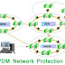 DWDM Network Protection