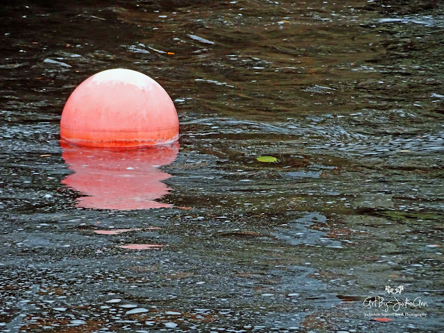 Buoy