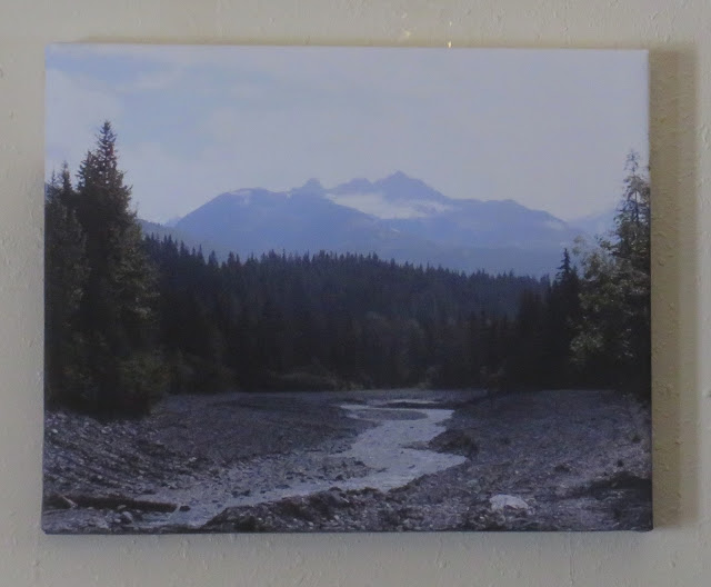 Stream leading to an Alaskan glacier. Trees and plants line the stream