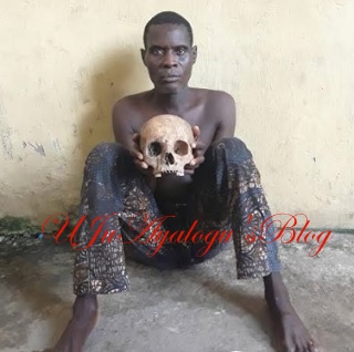 I sell fresh human skull for N1 million'