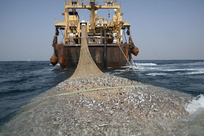 Melek Perikanan Metode Penangkapan Ikan MPI Alat 