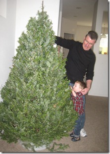 12 01 12 - Getting our Christmas tree (4)