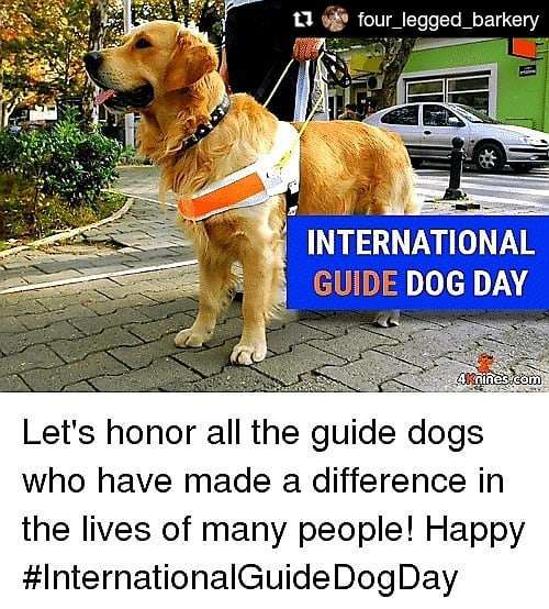 International Guide Dog Day Wishes Sweet Images
