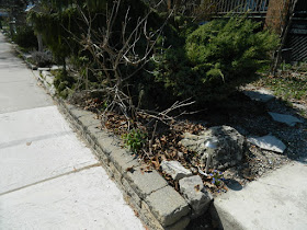A Toronto Gardening Company Parkdale Spring Backyard Garden Cleanup Before by Paul Jung Gardening Services