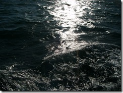 DSCF0026